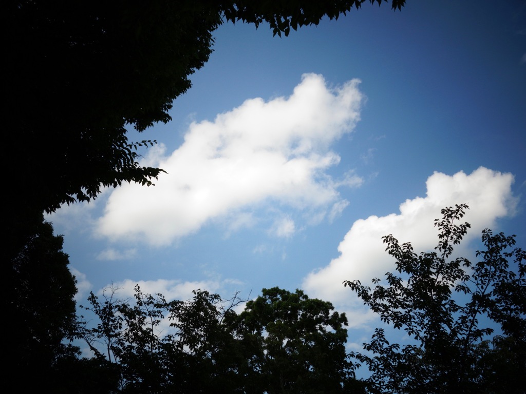 明日香村 平田 （ 国営飛鳥歴史公園 高松塚地区 ）
