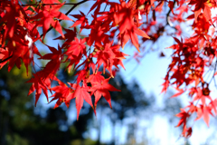 明日香村 大字大根田 明日香村 大字大根田