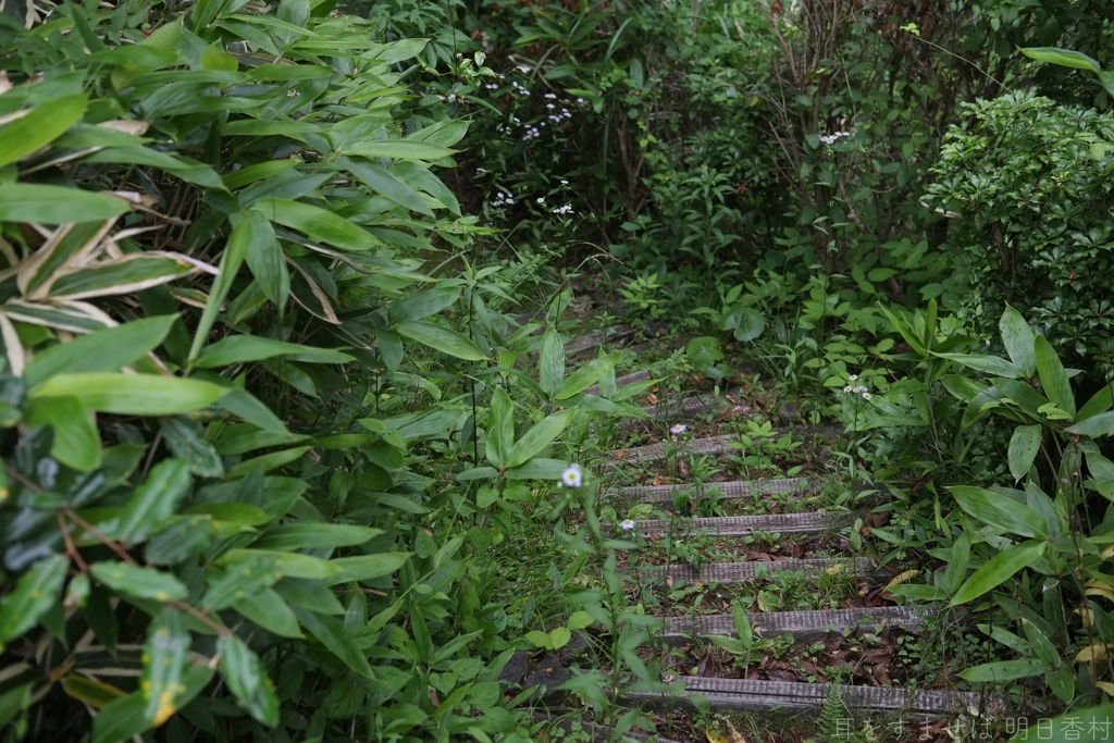 明日香村　大字祝戸