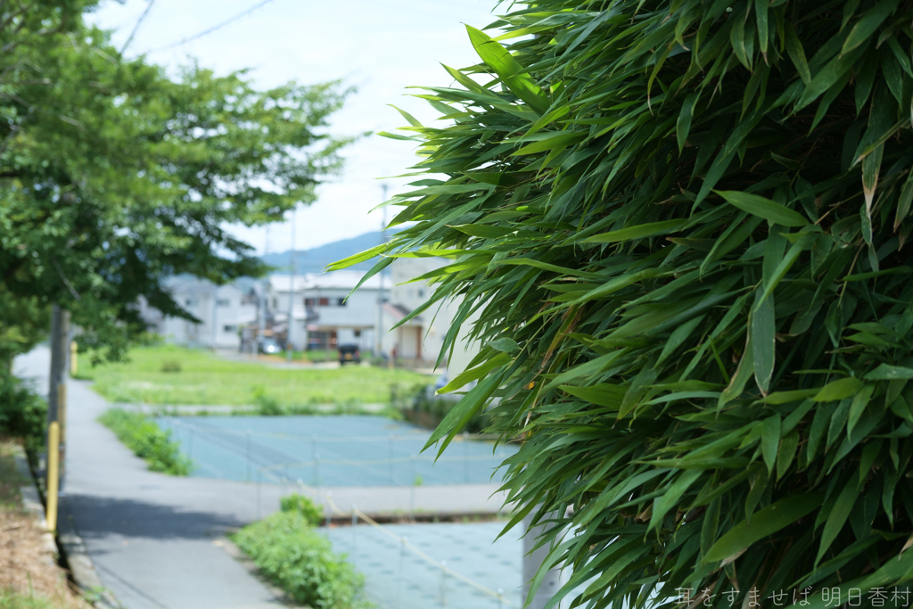 橿原市　出合町