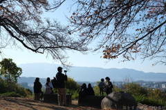 明日香村　大字豊浦（ 国営飛鳥歴史公園　甘樫丘地区 ）