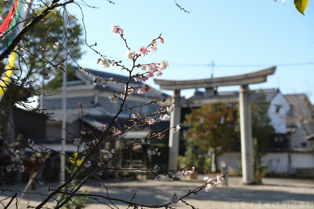 橿原市小綱町　入鹿神社