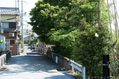 大阪府太子町（ 竹内街道 ）