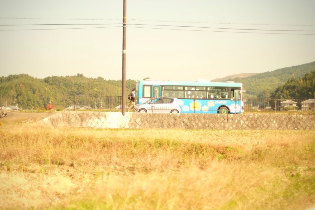 明日香村 大字豊浦（ 甘樫丘付近 ）