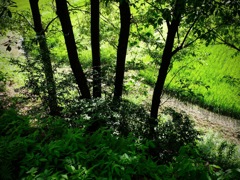 明日香村 大字祝戸 明日香村 大字祝戸