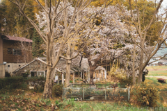 奈良県橿原市　万葉の森