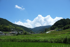 明日香村　大字阪田
