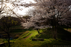 明日香村 大字稲渕 明日香村 大字稲渕