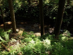 明日香村 畑 明日香村 畑