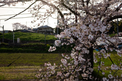 明日香村大字平田