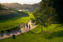 明日香村　大字平田（ 国営飛鳥歴史公園 高松塚周辺地区 ）