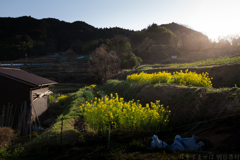 明日香村　大字稲渕