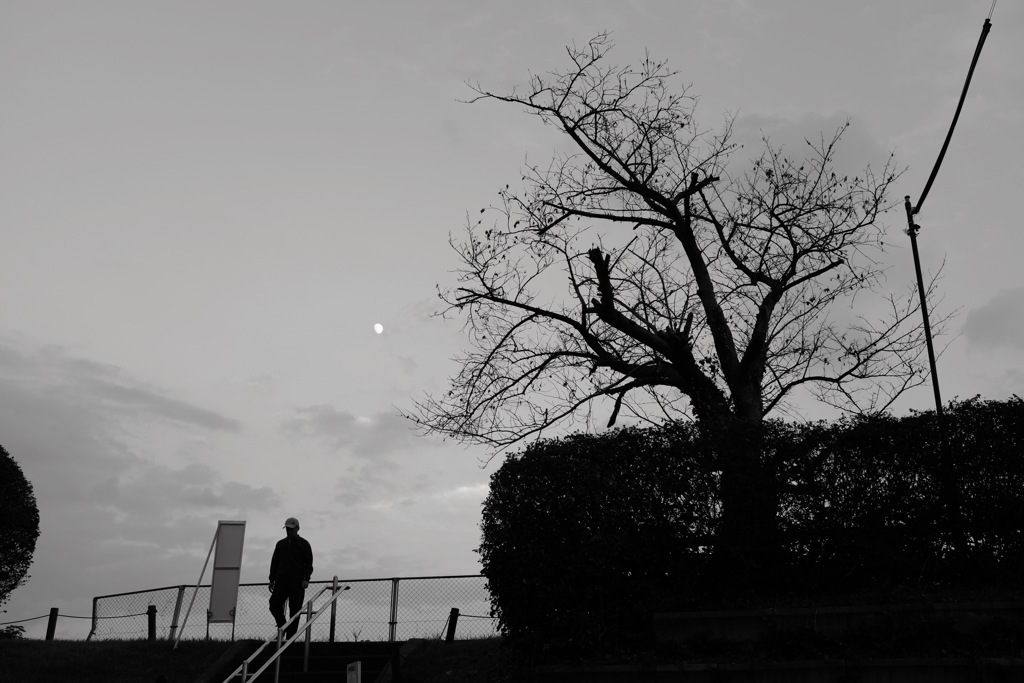 大阪府羽曳野市　石川沿い