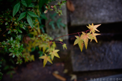 明日香村　大字岡