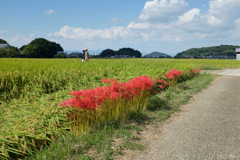 明日香村　大字飛鳥