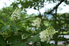 明日香村 大字越 明日香村 大字越