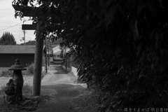 橿原市高殿町（ 春日神社 ）