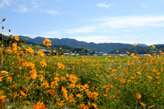 明日香村　大字飛鳥
