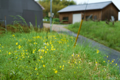 明日香村　大字平田