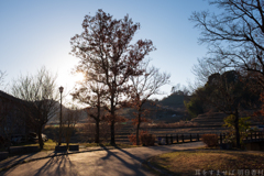 明日香村　大字稲渕