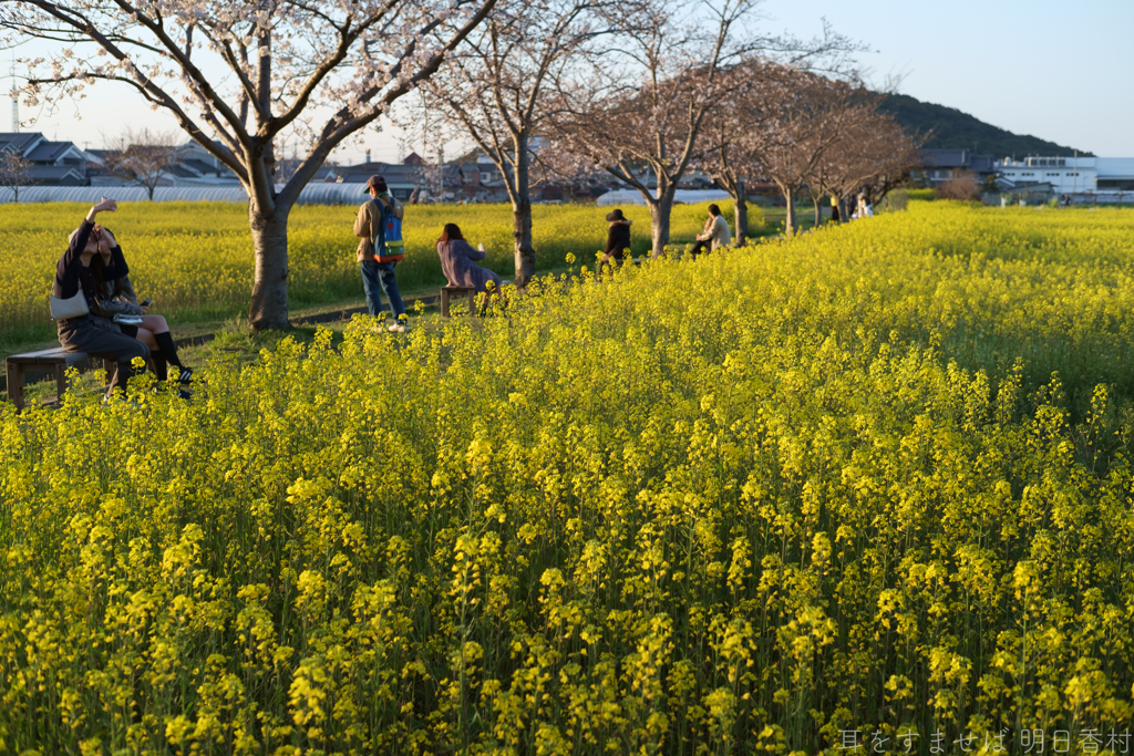 奈良県橿原市醍醐町