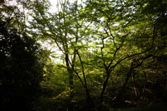 明日香村 大字豊浦 甘樫丘 明日香村 大字豊浦 甘樫丘