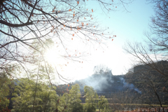 明日香村 大字祝戸( 国営飛鳥歴史公園 祝戸地区 ) 明日香村 大字祝戸( 国営飛鳥歴史公園 祝戸地区 )