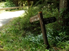 明日香村 畑 明日香村 畑