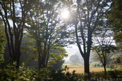 明日香村　大字豊浦（ 国営飛鳥歴史公園　高松塚周辺地区 ）