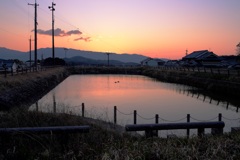 明日香村 大字橘 明日香村 大字橘