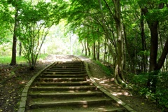 明日香村 大字豊浦 甘樫丘 明日香村 大字豊浦 甘樫丘