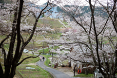 明日香村　大字島庄