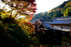 奈良県桜井市　長谷寺参道