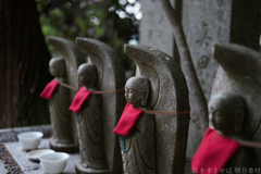 大阪府太子町（ 竹内街道　科長神社 ）