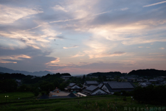 明日香村　大字橘