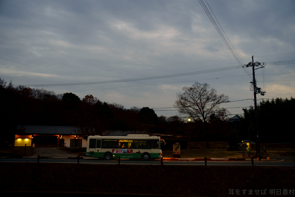 明日香村 大字豊浦（ 甘樫丘 ）