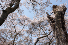 明日香村 大字稲渕 明日香村 大字稲渕