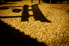奈良県桜井市　素盞雄神社