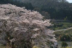 明日香村 大字稲渕 明日香村 大字稲渕