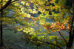 明日香村　大字檜前　国営飛鳥歴史公園キトラ古墳周辺地区