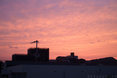 橿原市　石川町