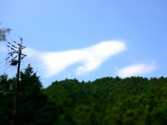 明日香村 栢森（ かやのもり ）