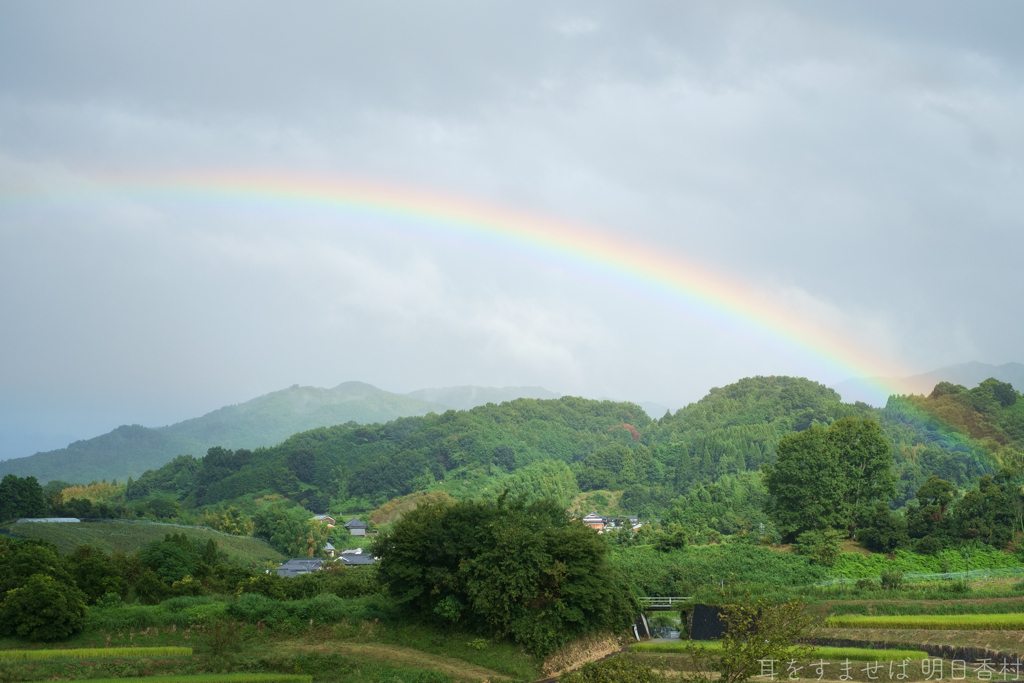 国営飛鳥歴史公園　高松塚周辺地区