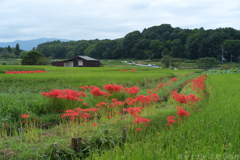 明日香村　大字岡