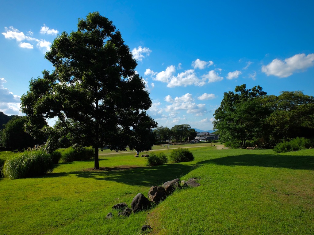 明日香村　大字島庄（ 国営飛鳥歴史公園 石舞台古墳地区 ）