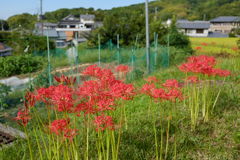 明日香村　大字祝戸