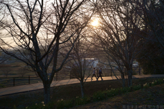 明日香村　大字平田（ 国営飛鳥歴史公園 高松塚周辺地区 ）