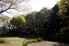 明日香村大字川原