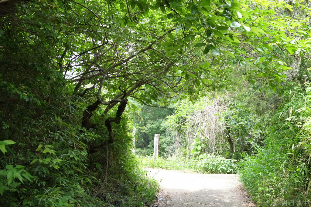 明日香村　大字平田