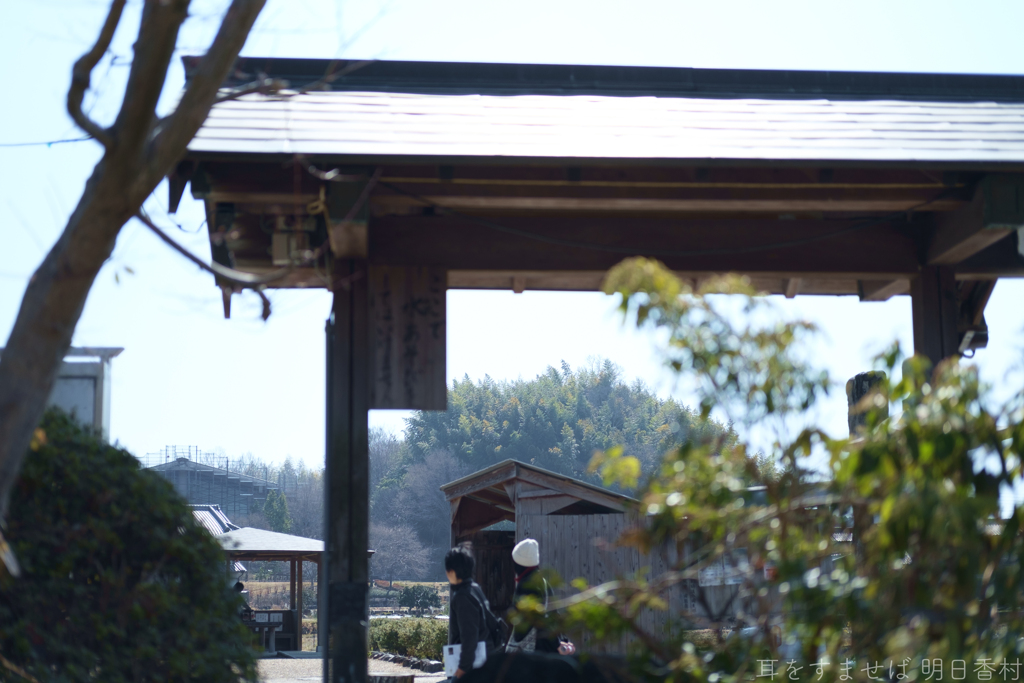 明日香村　大字飛鳥（ 飛鳥坐神社 ）